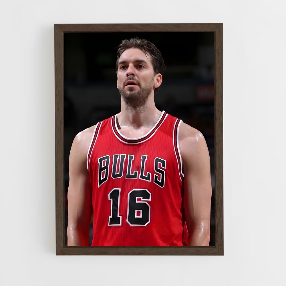 Poster Pau de gasol – affiche Basketball (vue 5)